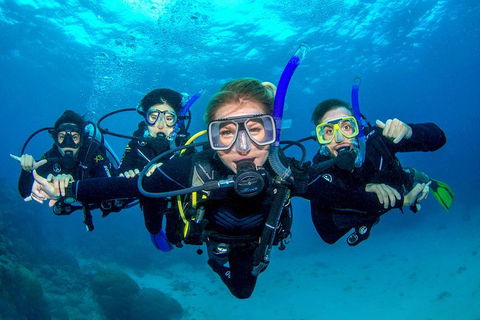 Great Barrier Reef Diving And Snorkeling Cruise From Cairns - Accommodation Gladstone 0