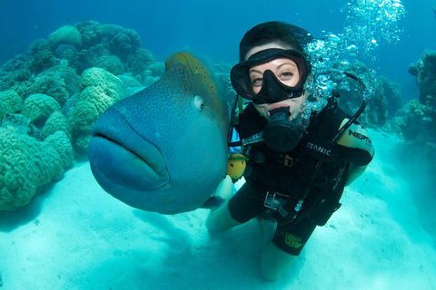 Great Barrier Reef Diving And Snorkeling Cruise From Cairns - Accommodation Gladstone 2