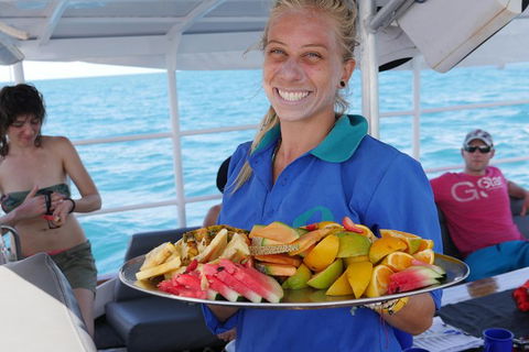 Ocean Free Green Island & Great Barrier Reef Snorkel Cruise, Cairns 25 Guests - Accommodation Gladstone 1