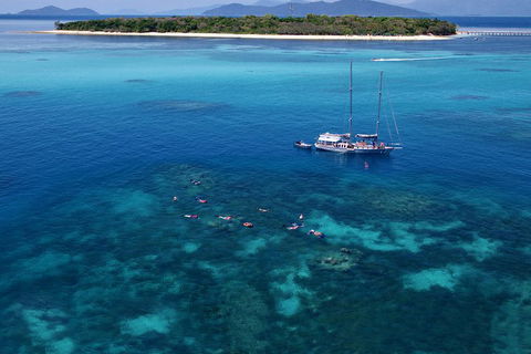 Ocean Free Green Island & Great Barrier Reef Snorkel Cruise, Cairns 25 Guests - Accommodation Gladstone 2