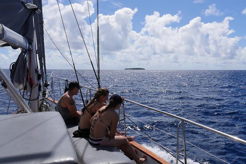Ocean Free Green Island & Great Barrier Reef Snorkel Cruise, Cairns 25 Guests - Accommodation Gladstone 4