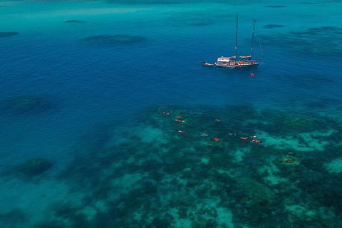 Ocean Free Green Island & Great Barrier Reef Snorkel Cruise, Cairns 25 Guests - Accommodation Gladstone 5