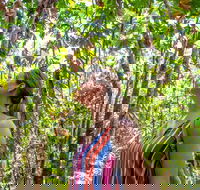 5 Day Australia Retreat Queensland Daintree - Accommodation Gladstone