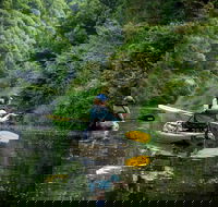 Byron Bay Rainforest Fishing - Accommodation Gladstone