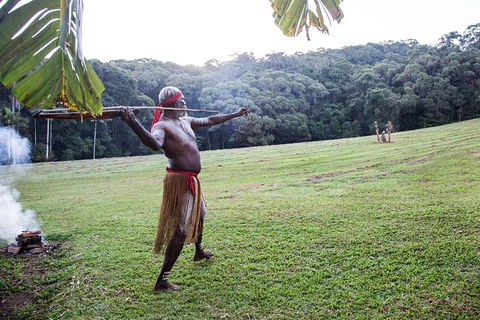 Classic Kuranda By Skyrail And Scenic Railway Including Rainforestation, Koala And Wildlife Park And Pamagirri Aboriginal Experi - Accommodation Gladstone 5