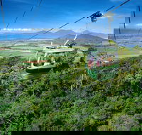 Best of Kuranda Including Skyrail Kuranda Scenic Railway and Rainforestation - Accommodation Gladstone