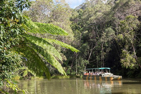 Best Of Kuranda Including Skyrail, Kuranda Scenic Railway And Rainforestation - Accommodation Gladstone 5