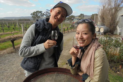Swan Valley River Cruise And Wine Tasting Day Trip From Perth - Accommodation Gladstone 0