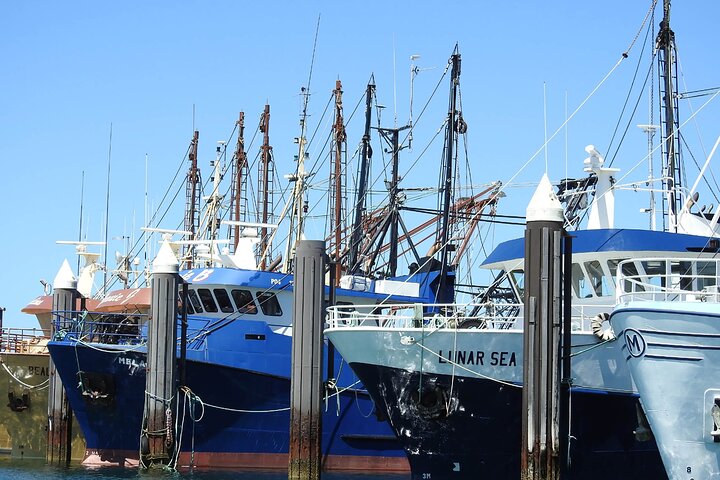  Accommodation Gladstone