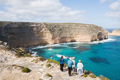 One Day Port Lincoln Tour - Tasting Eyre - Accommodation Gladstone 1
