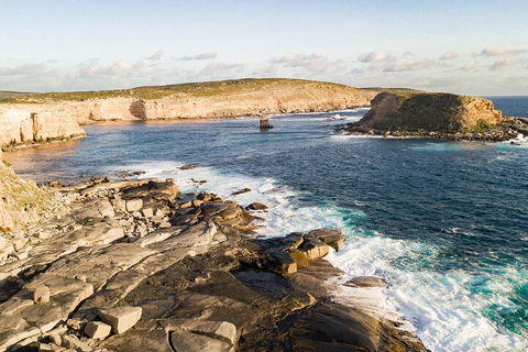 One Day Port Lincoln Tour - Tasting Eyre - Accommodation Gladstone 3