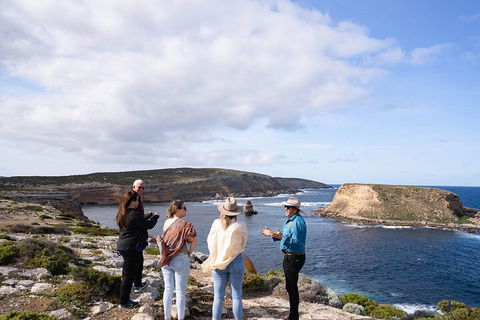 One Day Port Lincoln Tour - Tasting Eyre - Accommodation Gladstone 4