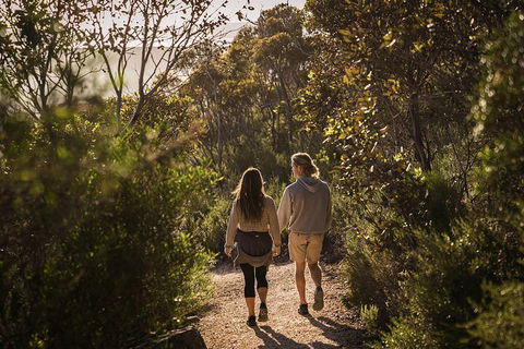 One Day Port Lincoln Tour - Tasting Eyre - Accommodation Gladstone 5