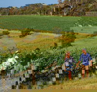 10 Day Perth to Adelaide Private Tour - The Great Australian Wilderness Journey - Accommodation Gladstone