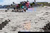 Book Viator Accommodation Vacations Accommodation Gladstone Accommodation Gladstone