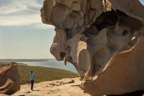 Kangaroo Island In A Day Tour From Adelaide - Accommodation Gladstone 5