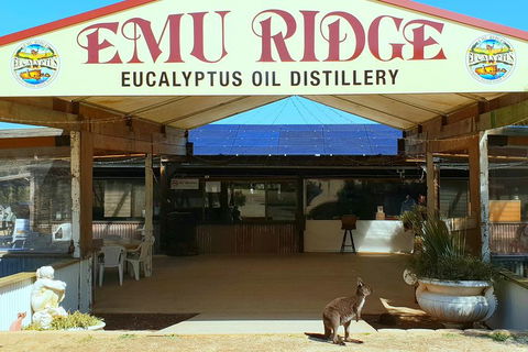 2 Day Ultimate Kangaroo Island With Return Ferry - Accommodation Gladstone 3