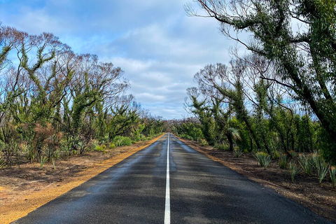 2 Day Ultimate Kangaroo Island With Return Ferry - Accommodation Gladstone 4