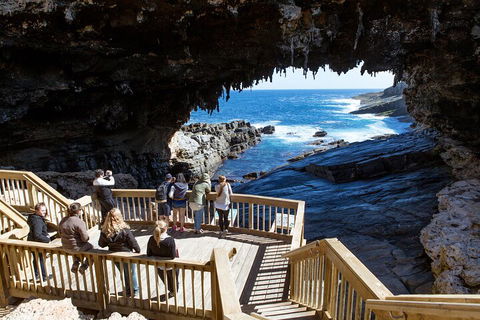 Full Day Flinders Chase Tour From Kangaroo Island - Accommodation Gladstone 1
