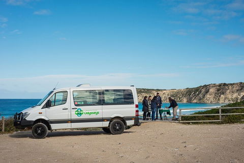 Full Day Flinders Chase Tour From Kangaroo Island - Accommodation Gladstone 3