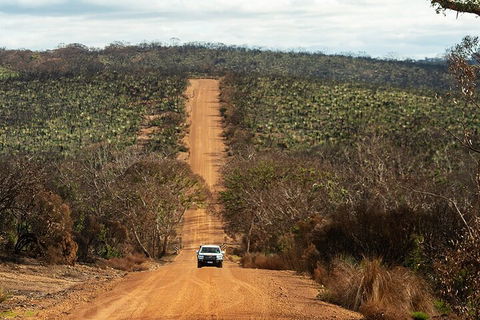 Full Day Flinders Chase Tour From Kangaroo Island - Accommodation Gladstone 4