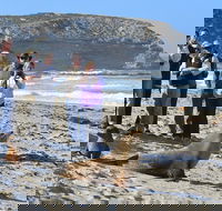 Full day Seal Bay Experience departing from Kangaroo Island - Accommodation Gladstone