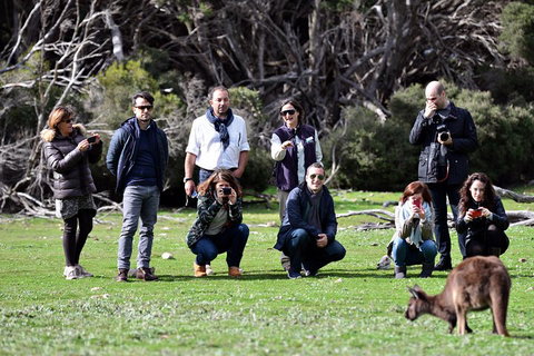 Small-Group Kangaroo Island 4WD Tour From Adelaide - Accommodation Gladstone 2