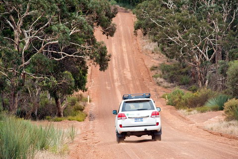 Small-Group Kangaroo Island 4WD Tour From Adelaide - Accommodation Gladstone 3