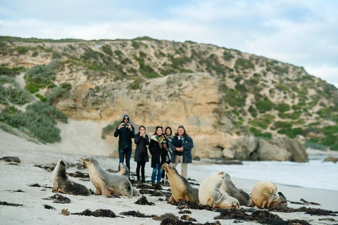 Small-Group Kangaroo Island 4WD Tour From Adelaide - Accommodation Gladstone 4