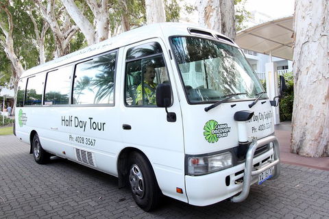 Cairns City Sights And Surrounds Tour - Accommodation Gladstone 4