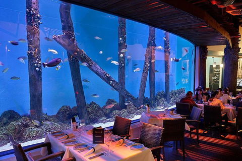 Cairns Aquarium And Small Group City Sightseeing Tour - Accommodation Gladstone 4