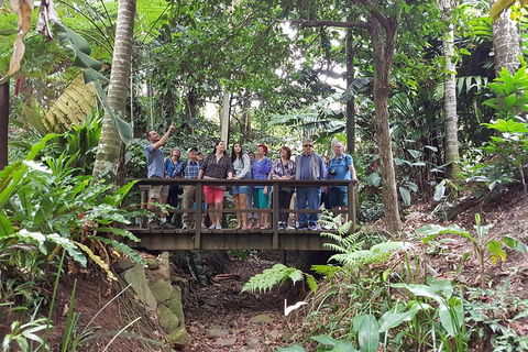 Cairns Shore Excursion: Cairns City Sights & Surrounds Tour - Accommodation Gladstone 1