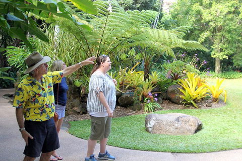 Cairns Shore Excursion: Cairns City Sights & Surrounds Tour - Accommodation Gladstone 4