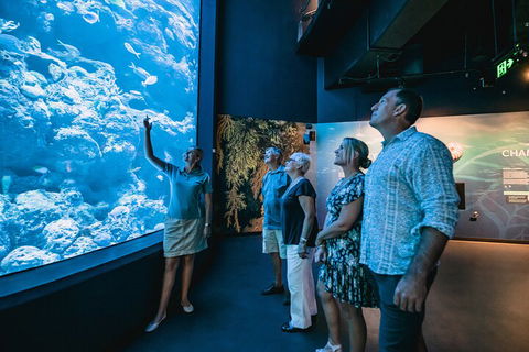 Cairns Aquarium By Twilight With 3-Course Dinner - Accommodation Gladstone 1
