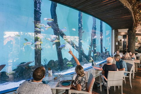 Cairns Aquarium By Twilight With 3-Course Dinner - Accommodation Gladstone 4