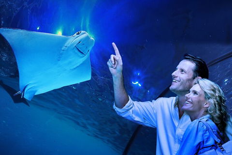 Cairns Aquarium Tour By Twilight With Drink And Appetiser - Accommodation Gladstone 4