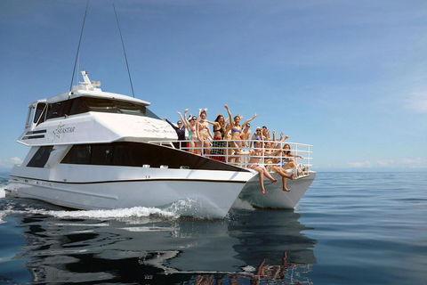 Seastar Luxury Outer Great Barrier Reef Island And Reef Tour From Cairns - Accommodation Gladstone 4
