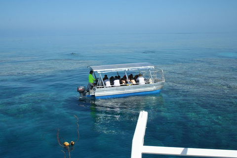 Seastar Luxury Outer Great Barrier Reef Island And Reef Tour From Cairns - Accommodation Gladstone 5