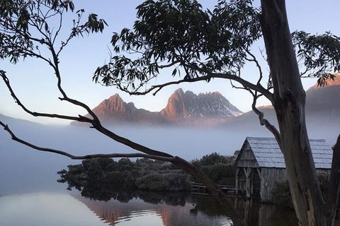 Cradle Mountain Park Explorer Guided Tour - Accommodation Gladstone 5
