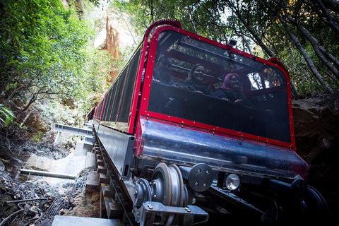 Blue Mountains Hop-on Hop-off Tour With Optional Scenic World Rides - Accommodation Gladstone 0