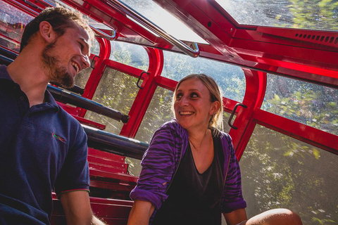 Blue Mountains Hop-on Hop-off Tour With Optional Scenic World Rides - Accommodation Gladstone 5