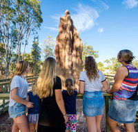 Litchfield National Park Waterfalls and Wildlife Tour from Darwin - Accommodation Gladstone