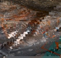 Kakadu National Park Wildlife and Ubirr Rock Art Tour from Darwin City - Accommodation Gladstone