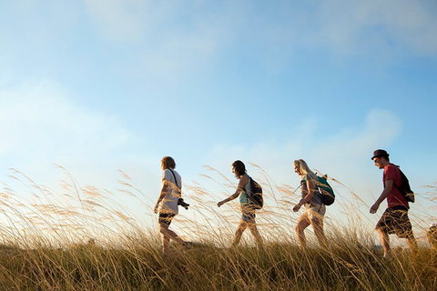 Kakadu National Park Wildlife And Ubirr Rock Art Tour From Darwin City - Accommodation Gladstone 4