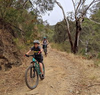 Mount Lofty Descent Bike Tour from Adelaide - Accommodation Gladstone