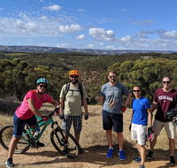 McLaren Vale Wine Tour by Bike - Accommodation Gladstone