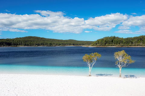 All-Inclusive Fraser Island Day Tour - Accommodation Gladstone 3