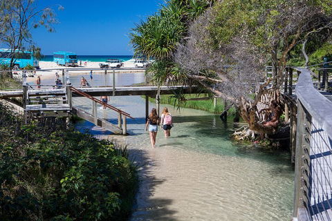 All-Inclusive Fraser Island Day Tour - Accommodation Gladstone 4