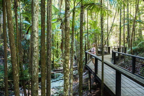 All-Inclusive Fraser Island Day Tour - Accommodation Gladstone 5