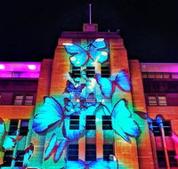 Vivid 90-Minute Sydney Harbour Small Group Catamaran Cruise